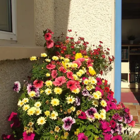 Seacrest Guest house
